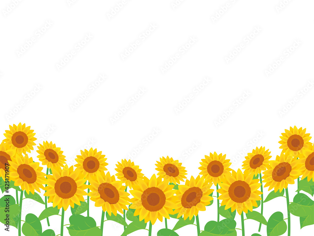 Sunflower Field Background ひまわり畑の背景 Stock Vector Adobe Stock