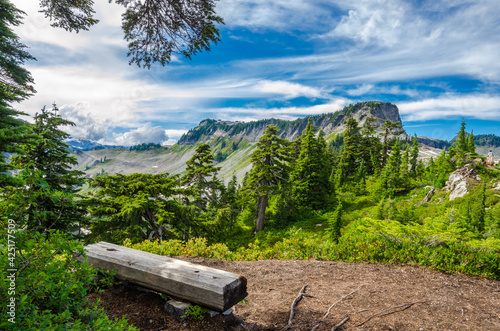 Beautiful Mountain Artist Ridge Trail Park. Mount Baker, Washington, USA. photo