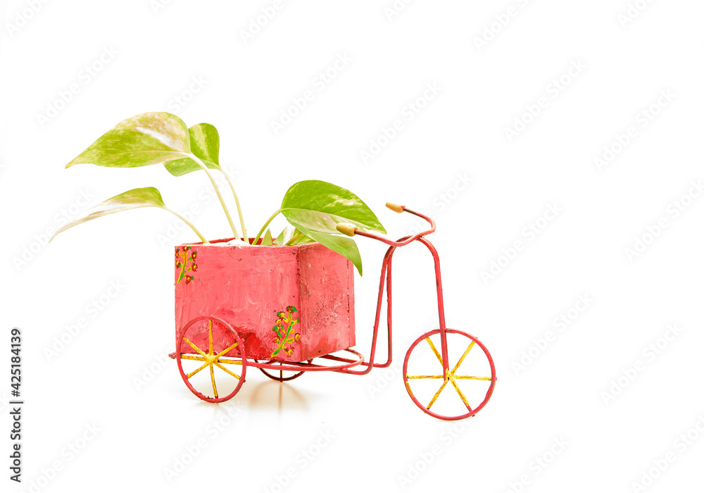 A hand-painted distressed-looking rustic tricycle with flowers painted on the sides and with pretty green plants in the box, isolated against a white background. Empty space on the wooden box for pers