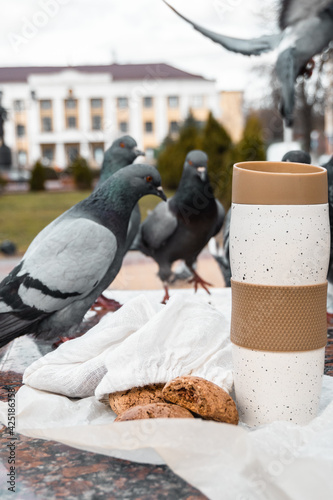 thermocup and cookies lunch photo