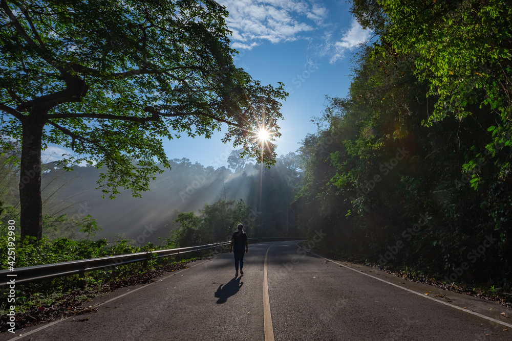 Fototapeta premium Sun rays through mist illumining a curved scenic road surrounded by beautiful green forest with light effects and shadows. Kaeng Krachan National Park, Phetchaburi - Thailand