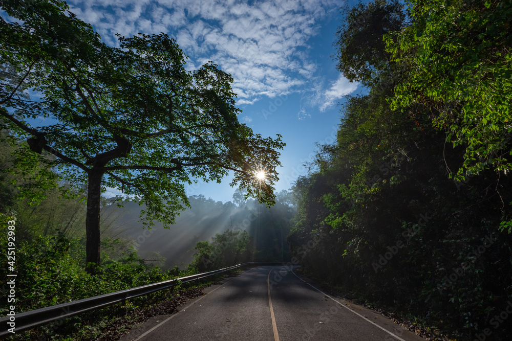 Sun rays through mist illumining a curved scenic road surrounded by