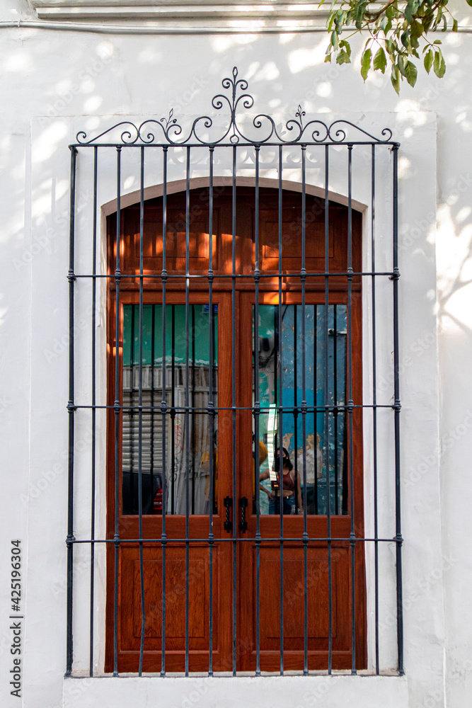 Obraz premium Puerta de madera y rejas, contorno blanco-Centro historico de Oaxaca.