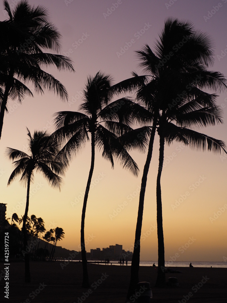 Obraz premium palm trees at sunset