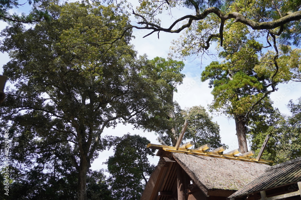 神宮 Stock Photo Adobe Stock