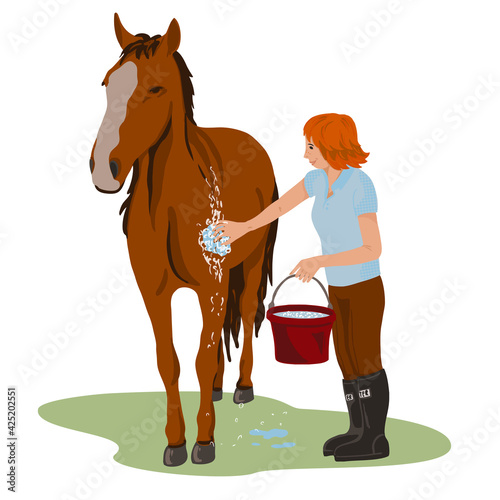 Young teenage girl rider washing her brown horse. Bright colorful summer time outdoors. Cartoon vector illustrtion. Work on a horse farm
