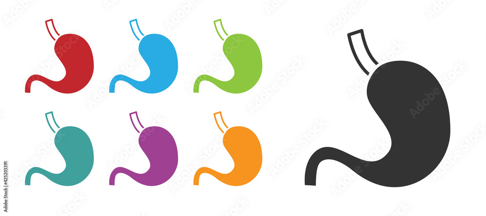 Black Human stomach icon isolated on white background. Set icons colorful. Vector Black Human stomach icon isolated on white background. Set icons colorful. Vector