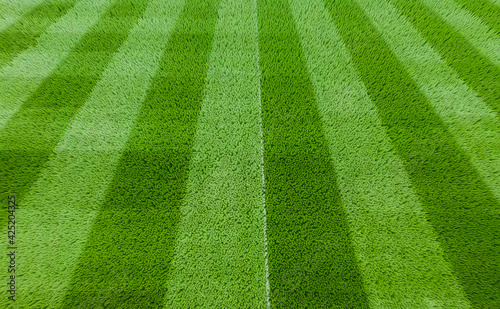 3d render Green grass on the football field