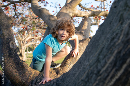 Kid child playing riding a tree branch. photo
