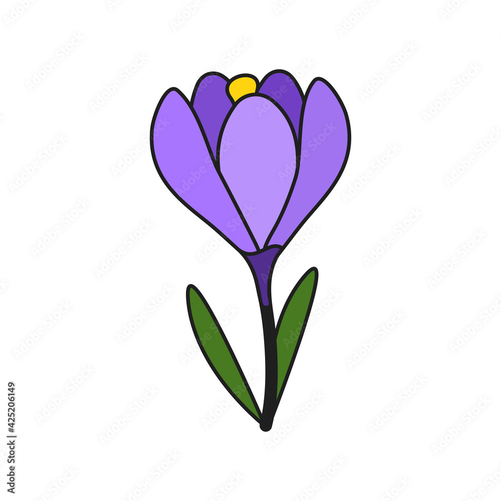 Crocus in cartoon style on white background. Isolated vector illustration. Crocus in cartoon style on white background. Isolated vector illustration.