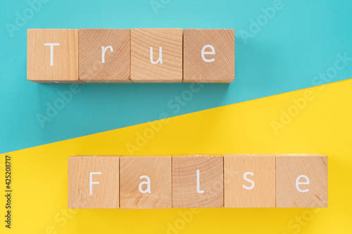 真偽｜「True」「False」と書かれた積み木ブロック