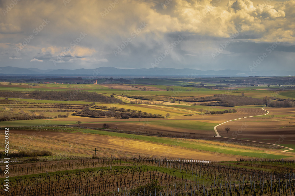 The cloudy view of the Austrian country from the hills. Vineyards, fields, hills, roads.