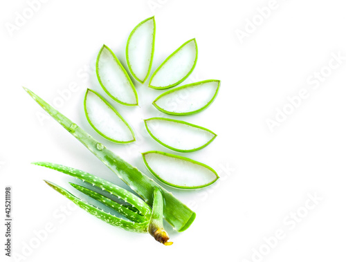 aloe vera plant with white background