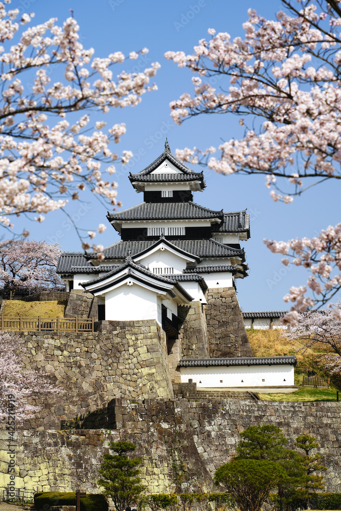 満開の桜と福島県白河市の小峰城