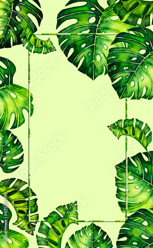 green background with border with leaves monstera. Tropical leaves of palm tree. background.