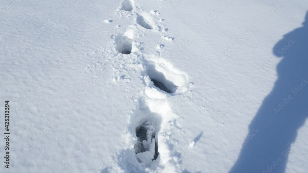 footprints on the winter lake. a man walks on a frozen lake. Winter season