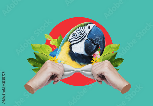 Digital collage modern art. Macaw head, with hands tying bow 