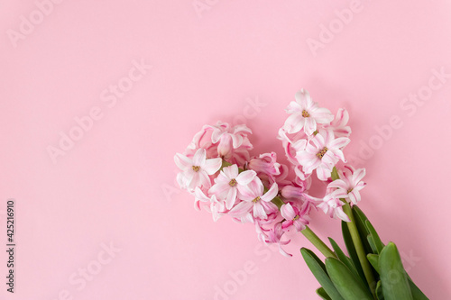 hyacinth flowers on pastel pink colors with space for your text. Spring coming concept. Spring or summer background. © Yelena Shander