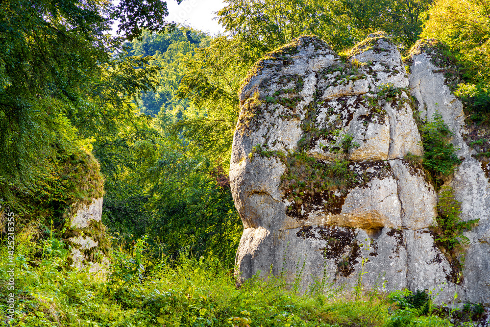 Cracow Gate - Brama Krakowska - Jurassic limestone rock gate formation in Pradnik creek valley of Cracow-Czestochowa upland in Ojcow in Lesser Poland Cracow Gate - Brama Krakowska - Jurassic limestone rock gate formation in Pradnik creek valley of Cracow-Czestochowa upland in Ojcow in Lesser Poland