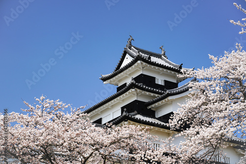 満開の桜と福島県白河市の小峰城