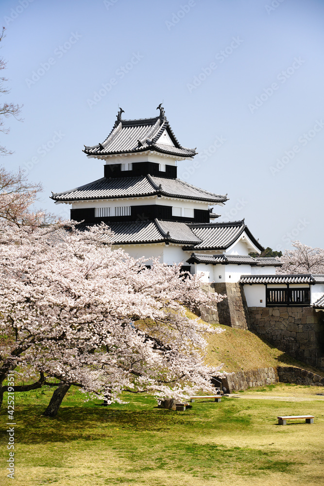 Naklejka premium 満開の桜と福島県白河市の小峰城