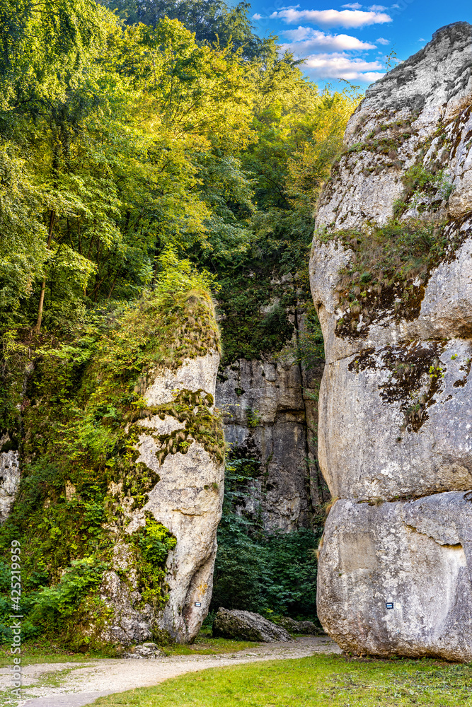Cracow Gate - Brama Krakowska - Jurassic limestone rock gate formation in Pradnik creek valley of Cracow-Czestochowa upland in Ojcow in Lesser Poland