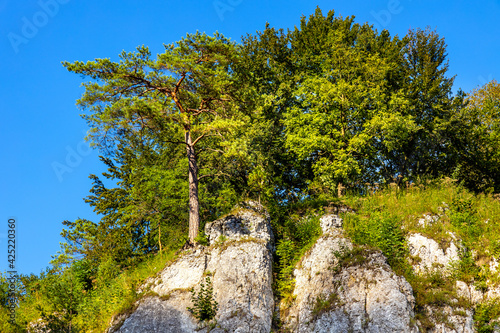 Trench Rock Stronghold - Grodzisko Gora Okopy - Jurassic limestone mountain massif in Pradnik creek valley of Cracow-Czestochowa upland in Ojcow in Lesser Poland