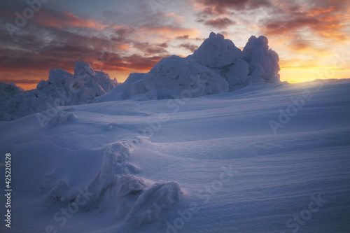 snowy field at sunset
