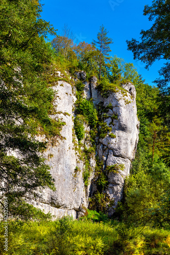 Bachelor Rocks - Skaly Kawalerskie - Jurassic limestone mountain massif in Pradnik creek valley of Cracow-Czestochowa upland in Ojcow in Lesser Poland photo