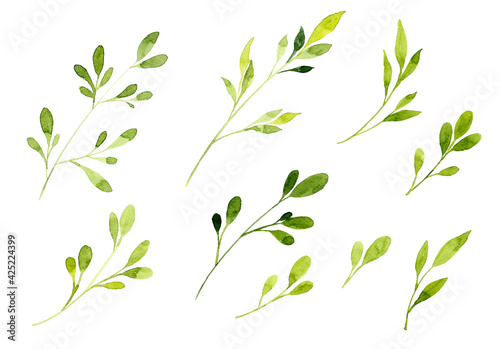 Collection of green leaves isolated on white background. Set of watercolor hand painting on paper. Clipping path.