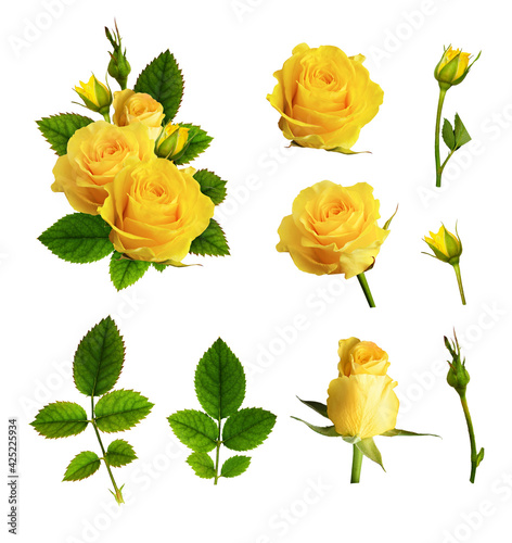 Set of yellow rose flowers, buds, leaves and example of arrangement