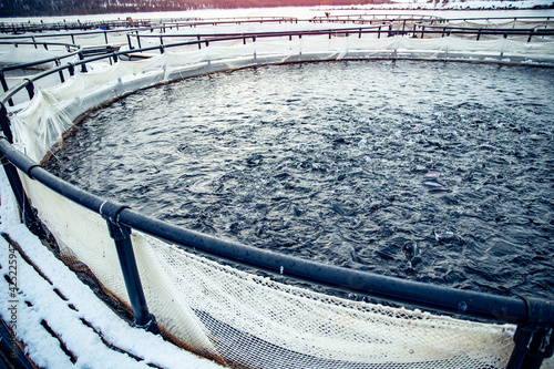 Fish farm for breeding for rainbow trout and salmon fry in net cages. Concept aquaculture pisciculture