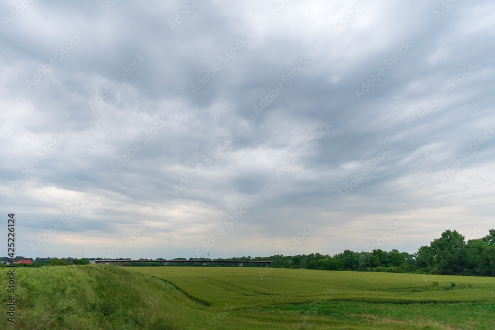 Fototapeta premium field and cloudy sky