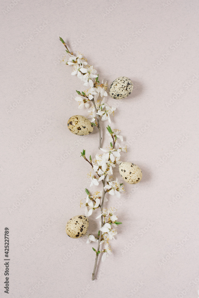 A flowering branch with white flowers and quail eggs on a beige background. Creative Easter Greeting Card A flowering branch with white flowers and quail eggs on a beige background. Creative Easter Greeting Card