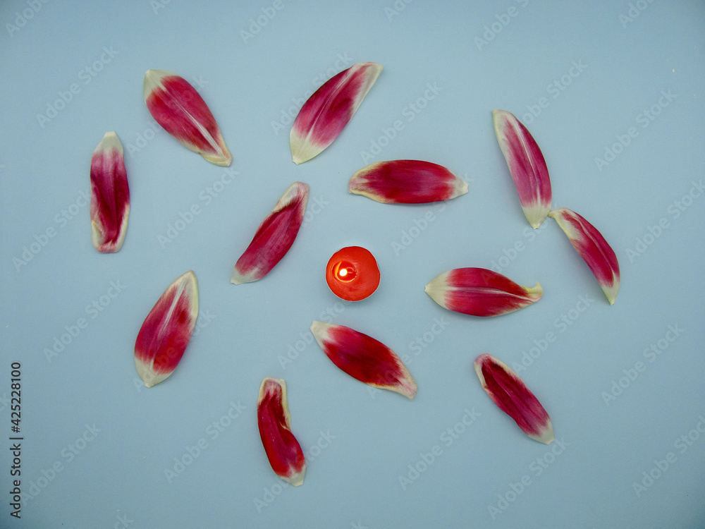 A burning candle sprinkled around with red tulip petals A burning candle sprinkled around with red tulip petals