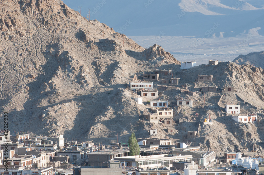 view of the city of Leh Ladakh