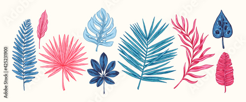 Collection of blue and pink tropical leaves and plants isolated on white background. Vector Hand Drawn Sketch Botanical Illustration. Highly detailed plant collection. Palm leaves. Exotic. Vintage