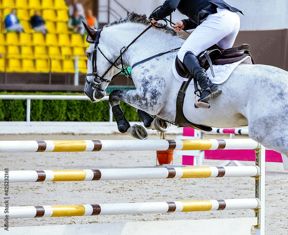 Horse and rider in uniform performing jump at Equestrian sport show ...