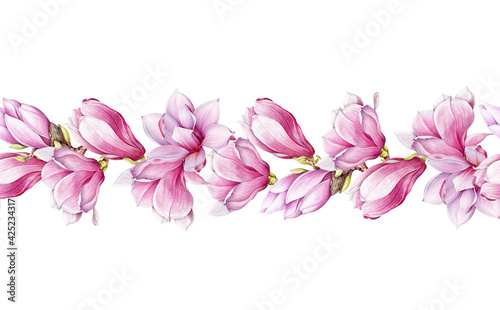 Fototapeta Naklejka Na Ścianę i Meble -  Magnolia flower seamless border. Watercolor illustration. Tender pink magnolia blossom decor. Endless floral decorative ornament. Realistic elegant seamless border element