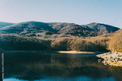 view of part of the santa fe swamp in winter located in the montseny mountains, catalonia