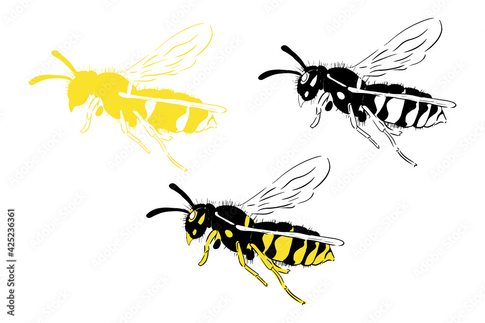 Fototapeta premium Bee set illustration black yellow isolated on white background