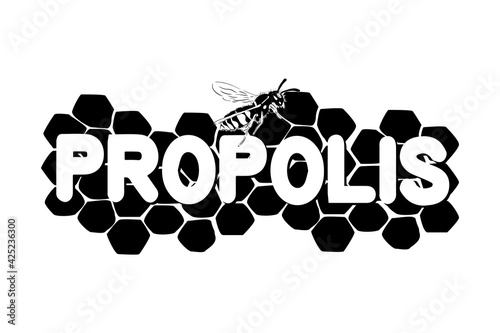 Honeycomb illustration with bee isolated on white background