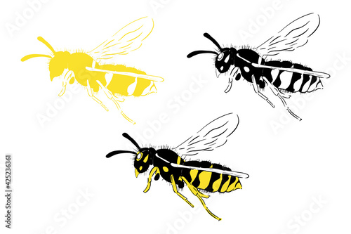 Bee set illustration black yellow isolated on white background
