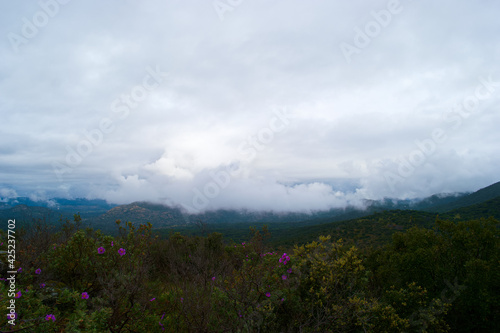 Fototapeta Naklejka Na Ścianę i Meble -  krajobraz góry niebo chmury widoki natura rośliny