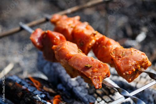 Juicy meat on a skewer. Frying kebabs in the fresh air. Summer afternoon picnic