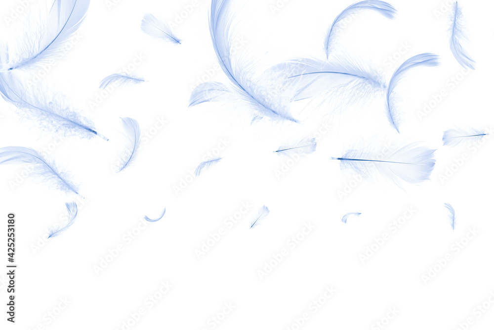 Feather air. Pastel angel feather closeup texture isolated on white background in pattern photography. Concept of sensitivity responsiveness to nature. Feather air. Pastel angel feather closeup texture isolated on white background in pattern photography. Concept of sensitivity responsiveness to nature.