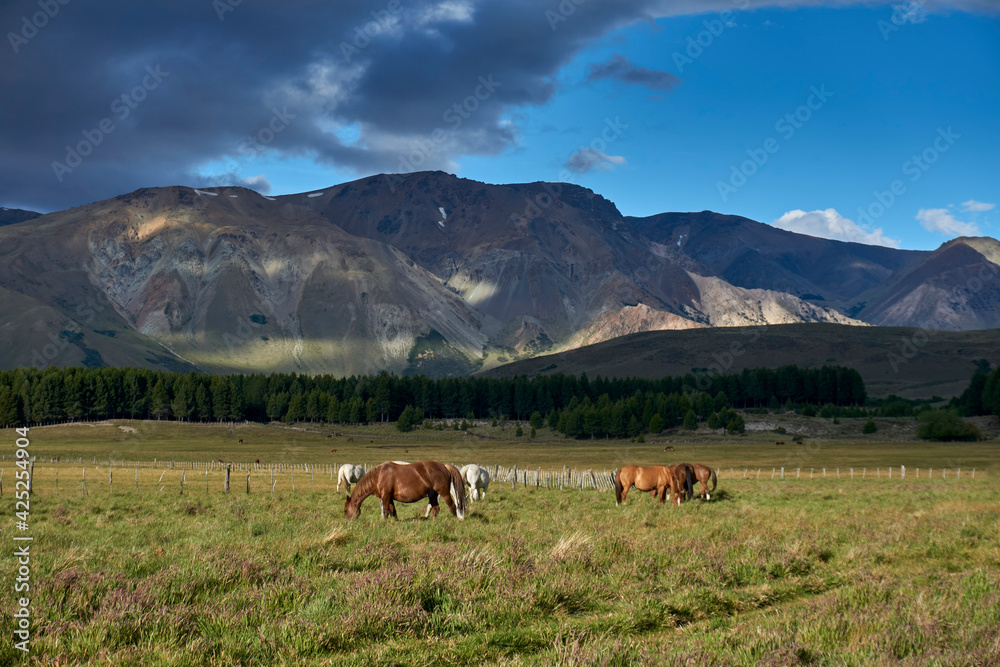 Scene view of horses on a green meadow against Andes mountains in Esquel, Patagonia, Argentina