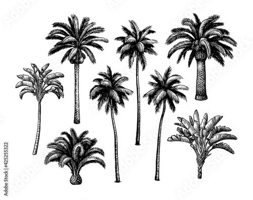 Palm tree set.