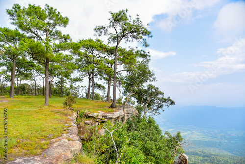 Mak Duk cliff viewpoint on Phu Kradueng, Thailand