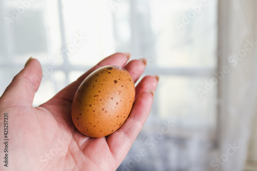 Brown chicken egg with dark spots on a female palm